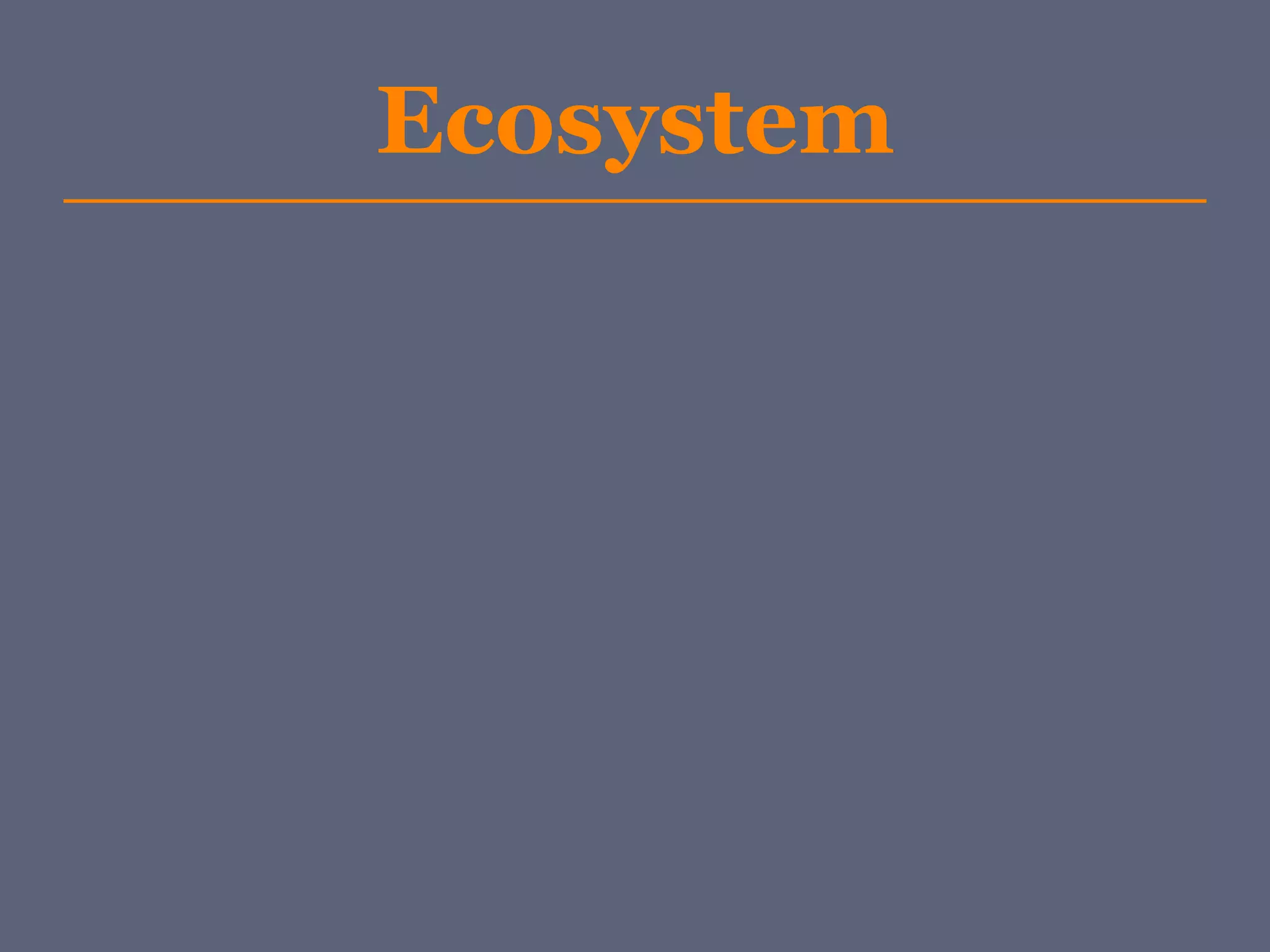 Ecosystem
 
