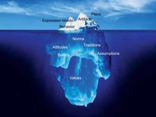 PAIN DRIVEN DESIGN
Artifacts
Behavior
Expressed Needs
Norms
Beliefs Assumptions
Values
Plans
Traditions
Attitudes
 