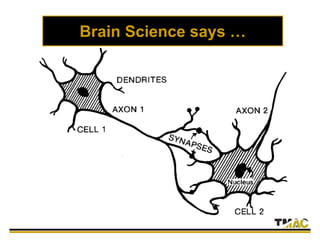Brain Science says …
 
