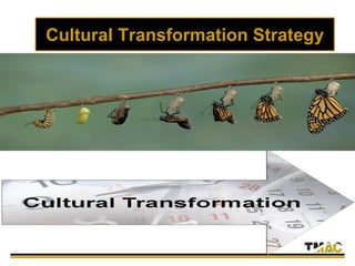 Cultural Transformation Strategy
 