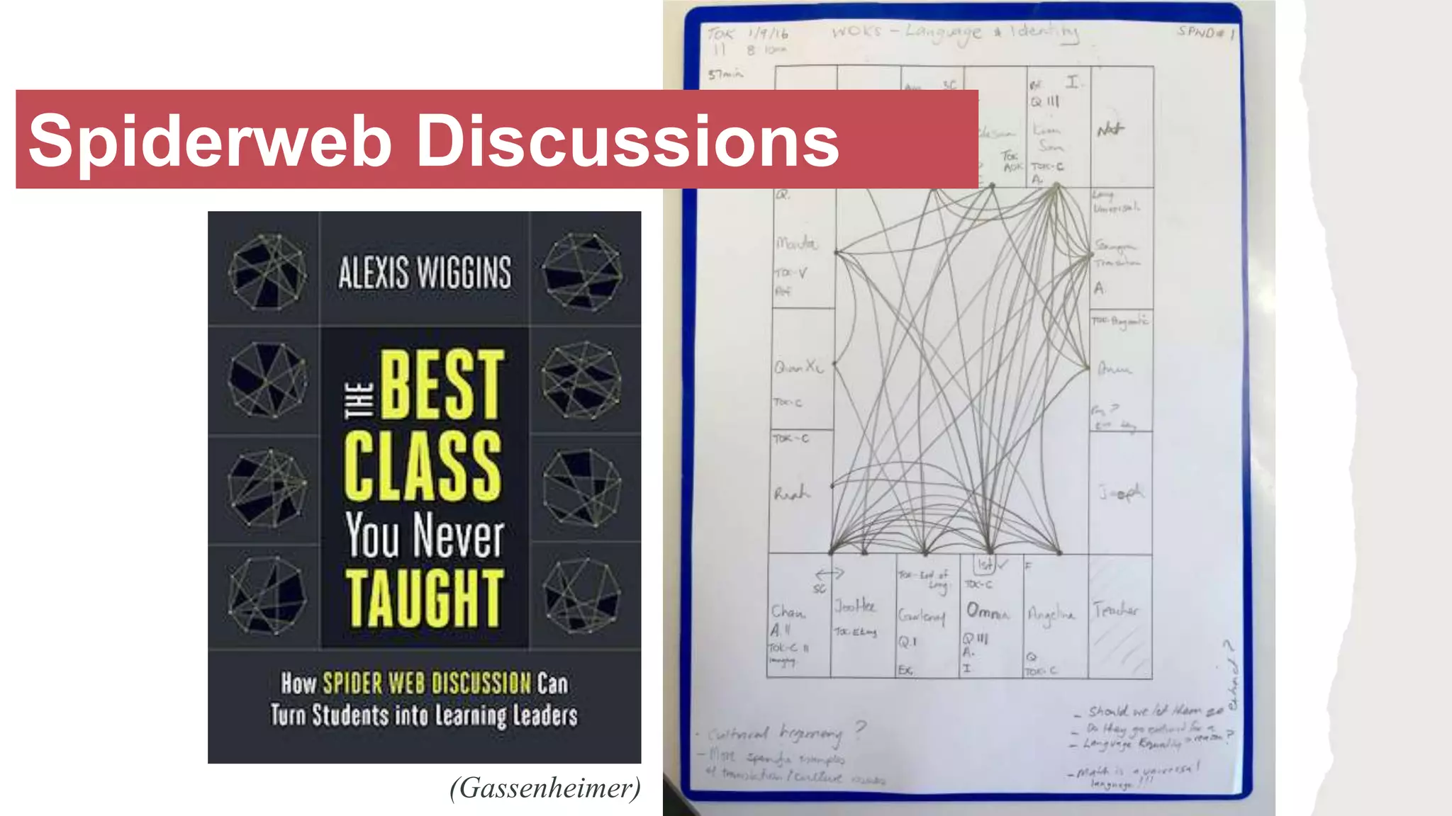 Spiderweb Discussions
(Gassenheimer)
 