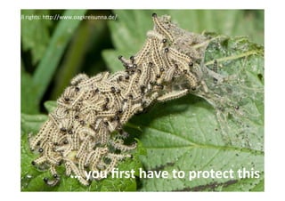 All%rights:%hQp://www.oagkreisunna.de/%
…#you#ﬁrst#have#to#protect#this#
 