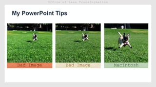 My PowerPoint Tips
Bad Image
Too grainy/Pixelated
Bad Image
Too Small/Far Away
Macintosh
This is my Dog.
 