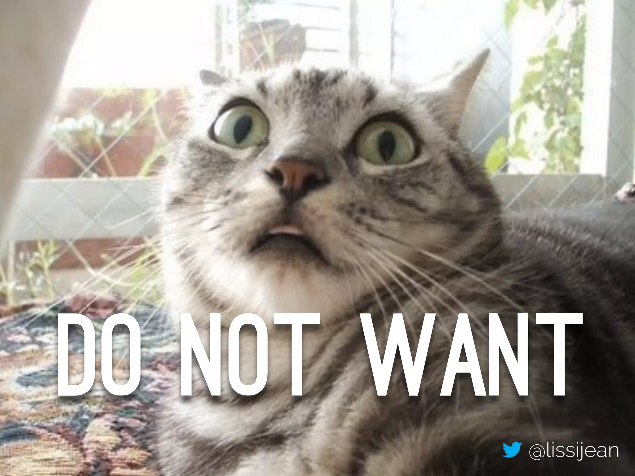 @lissijean
DO NOT WANT
@lissijean
 