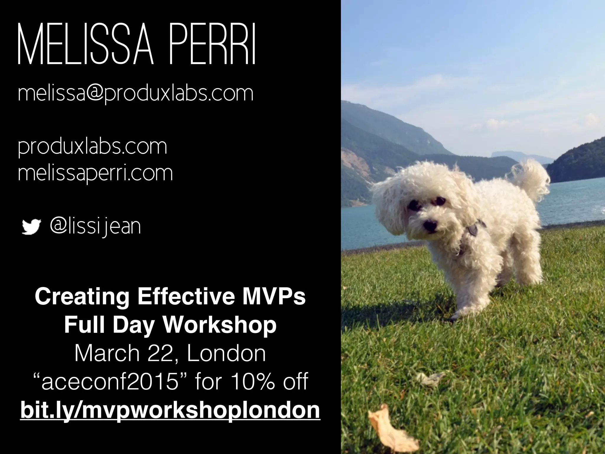 Melissa Perri
melissa@produxlabs.com
produxlabs.com
melissaperri.com
@lissijean
Melissa Perri
melissa@produxlabs.com
produxlabs.com
melissaperri.com
@lissijean
Creating Effective MVPs
Full Day Workshop
March 22, London
“aceconf2015” for 10% off
bit.ly/mvpworkshoplondon
 
