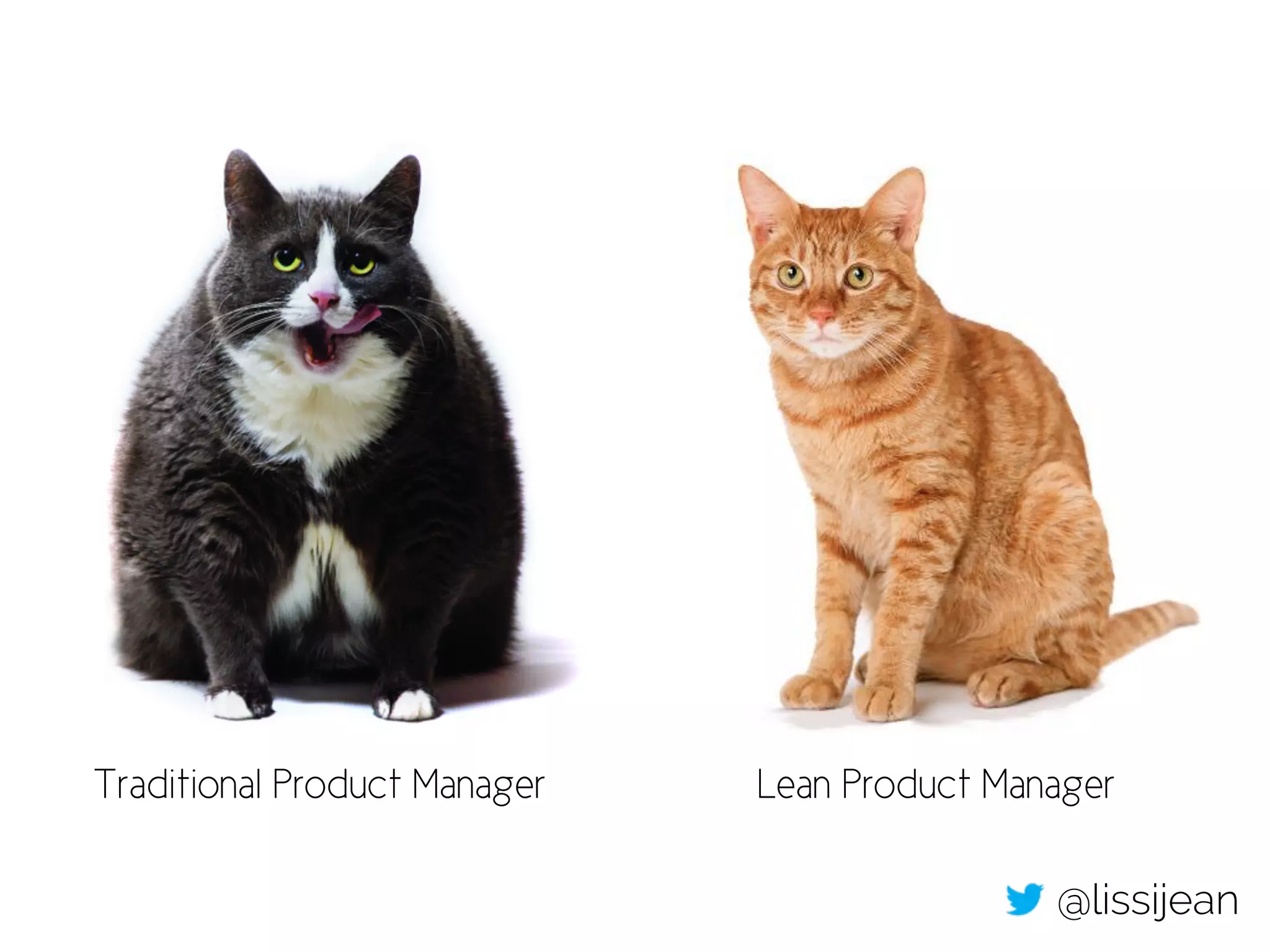 Traditional Product Manager Lean Product Manager 
@lissijean 
 