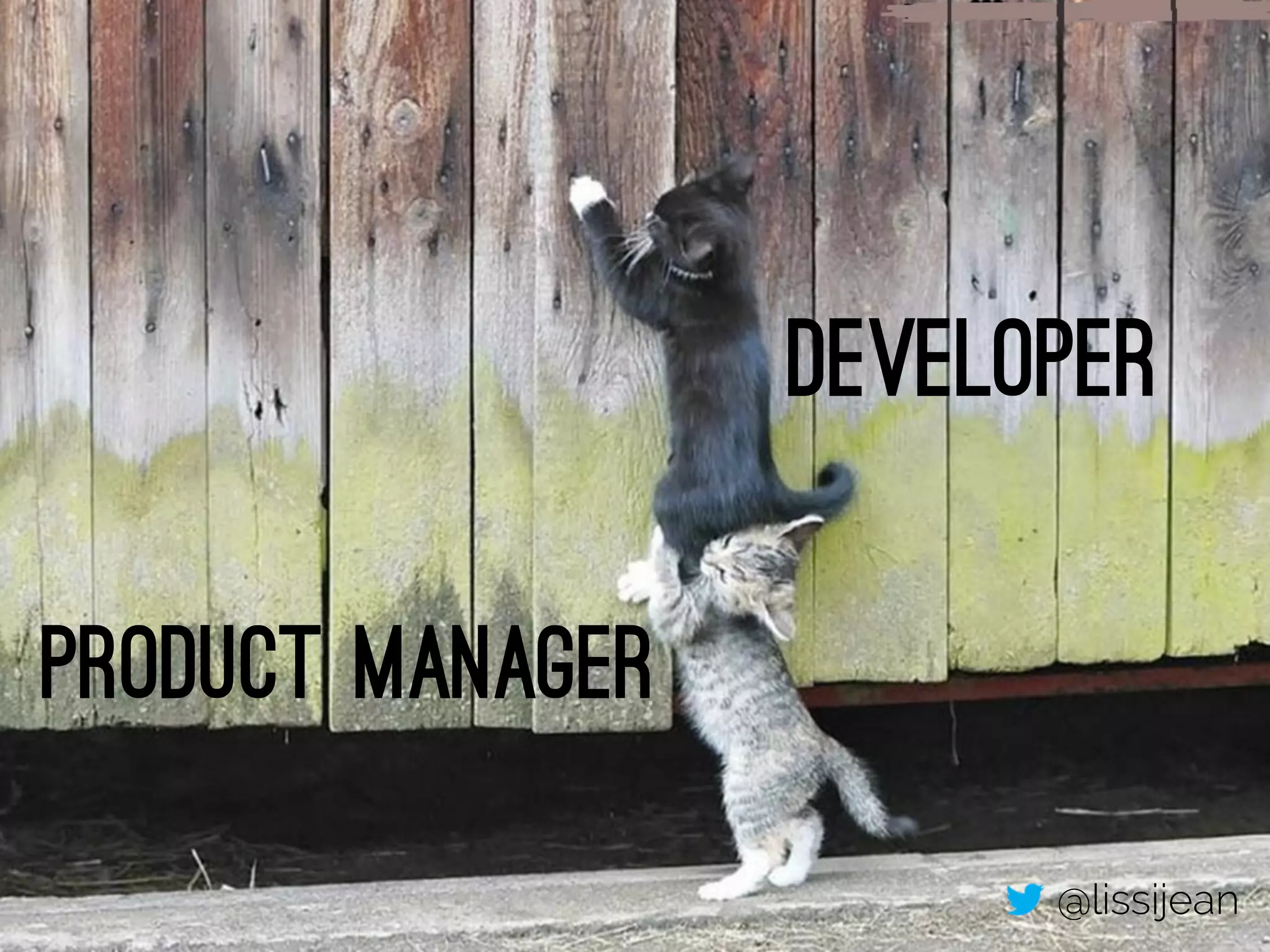 Developer 
Product Manager 
@lissijean 
 