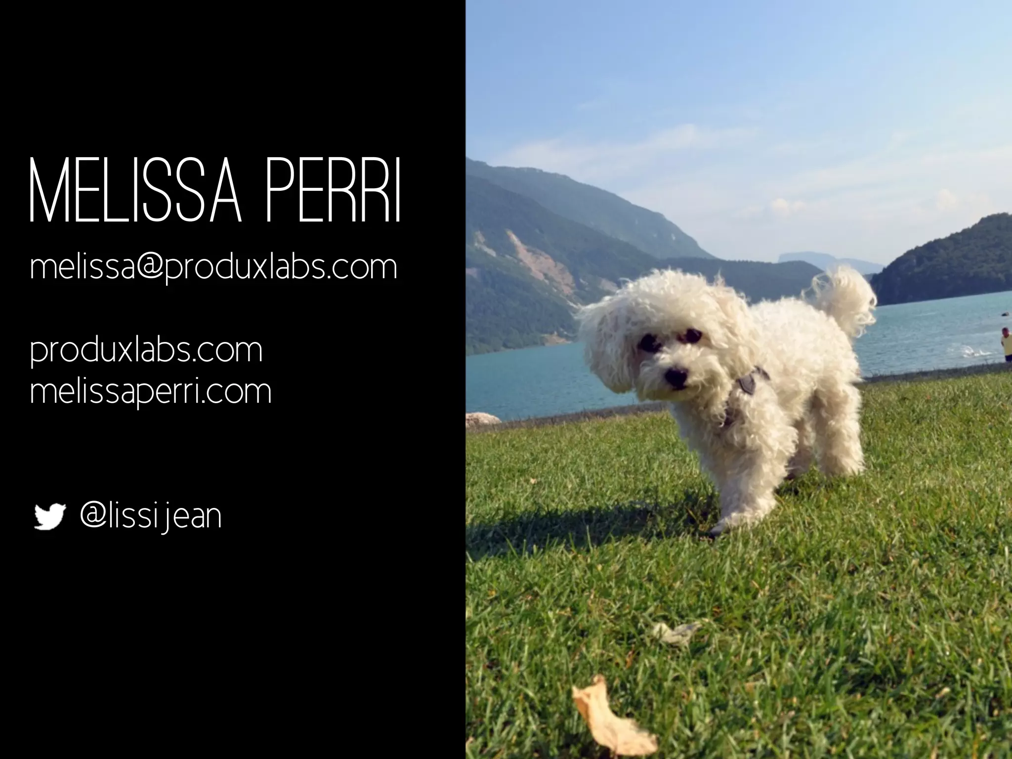 Melissa Perri 
melissa@produxlabs.com 
! 
produxlabs.com 
melissaperri.com 
! 
Melissa Perri 
melissa@produxlabs.com 
! 
com 
com 
! 
@lissijean 
