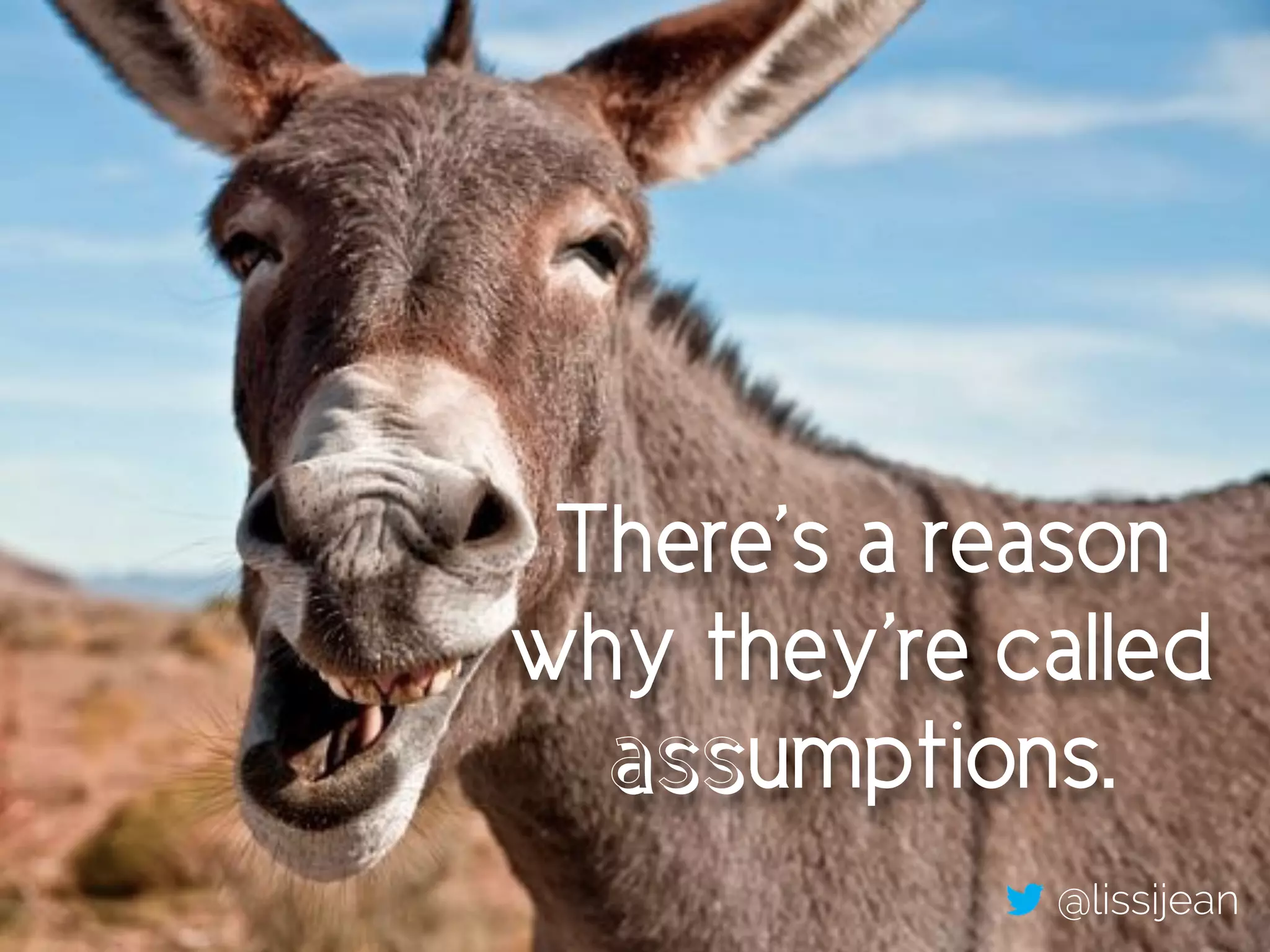There’s a reason 
why they’re called 
assumptions. 
@lissijean 
 