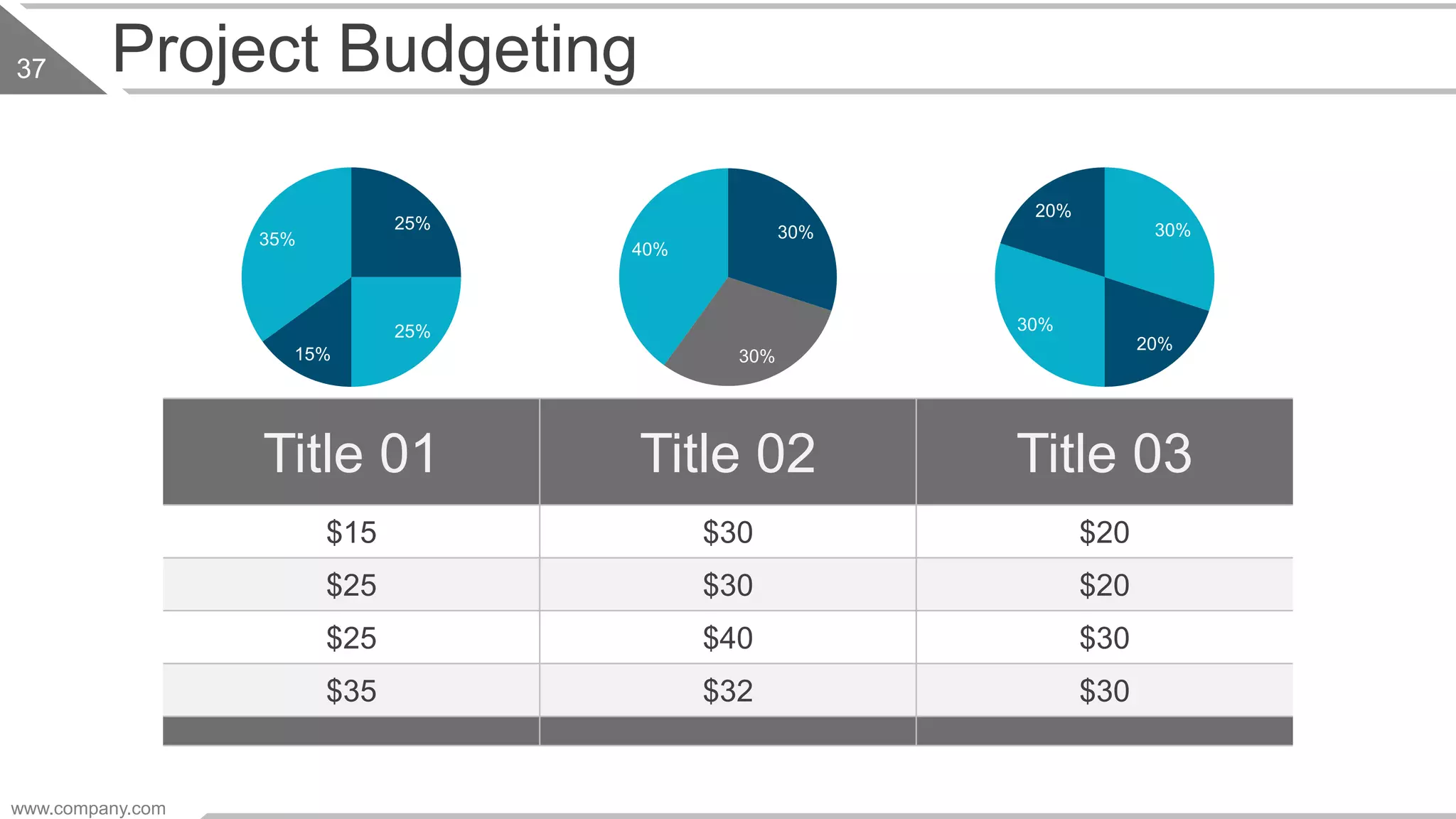 Project Budgeting
Title 01 Title 02 Title 03
$15 $30 $20
$25 $30 $20
$25 $40 $30
$35 $32 $30
30%
30%
40%
25%
25%
15%
35%
30%
20%
30%
20%
www.company.com
37
 