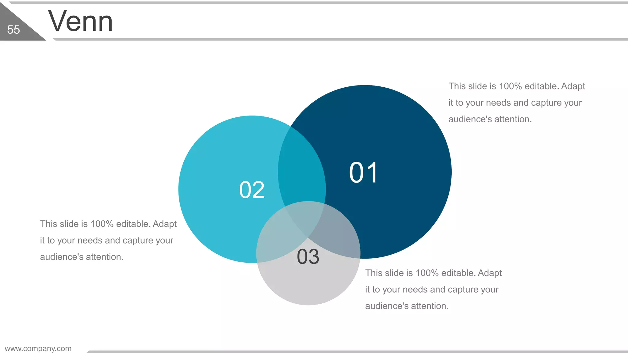 Venn
This slide is 100% editable. Adapt
it to your needs and capture your
audience's attention.
This slide is 100% editable. Adapt
it to your needs and capture your
audience's attention.
This slide is 100% editable. Adapt
it to your needs and capture your
audience's attention.
01
02
03
www.company.com
55
 