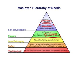 Maslow’s Hierarchy of Needs
 