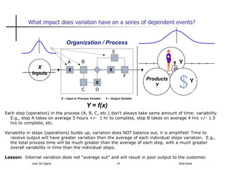 Lean Six Sigma 101 | PDF