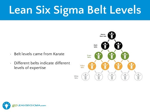 Belt Levels Of Lean Six Sigma Goleansixsigma Com Lean Vrogue Co Belt Levels Of Lean Six Sigma Goleansixsigma Com Lean Vrogue Co