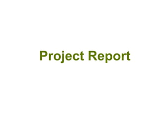 Project Report
 