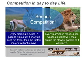 Competition in day to day Life
Every morning in Africa, a
gazelle wakes up; it knows it
must run faster than the fastest
lion or it will not survive.
Every morning in Africa, a lion
wakes up; it knows it must
outrun the slowest gazelle or it
will starve.
It doesn’t matter whether you are a lion or a
gazelle: When the sun comes up, you had
better be running!
Serious
Competition!
 