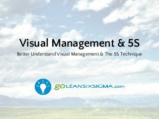 Visual Management & 5S
Better Understand Visual Management & The 5S Technique
 
