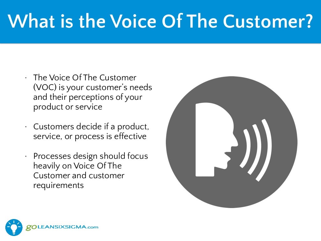 Lean Six Sigma Voice Of The Customer