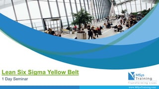www.MSysTraining.com
Lean Six Sigma Yellow Belt
1 Day Seminar
 
