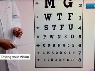 Testing your Vision<br />trochim<br />
