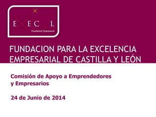 FUNDACION PARA LA EXCELENCIA
EMPRESARIAL DE CASTILLA Y LEÓN
Comisión de Apoyo a Emprendedores
y Empresarios
24 de Junio de 2014
 