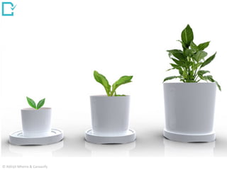 © Abhijit Mhetre & Canvazify
 