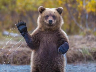 Lean Startup Customer Development Interview