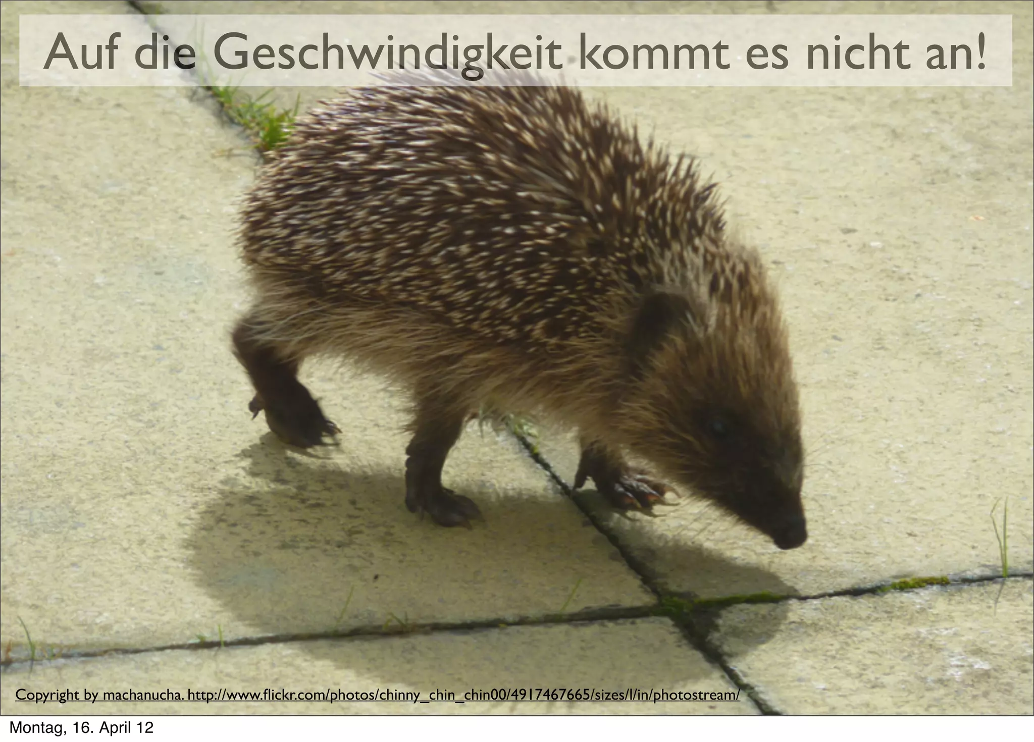 Auf die Geschwindigkeit kommt es nicht an!




Copyright by machanucha. http://www.ﬂickr.com/photos/chinny_chin_chin00/4917467665/sizes/l/in/photostream/

Montag, 16. April 12
 