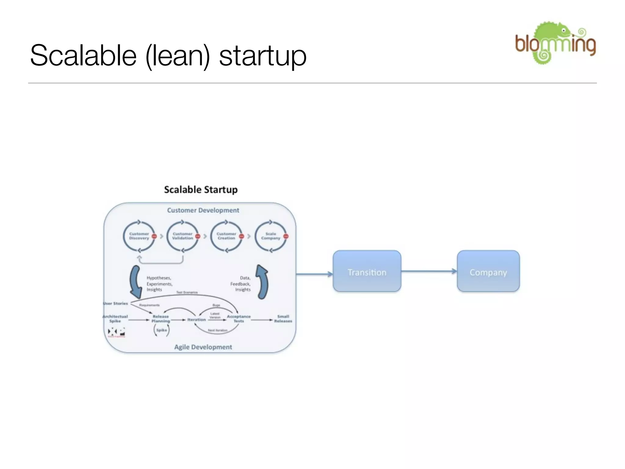 Scalable (lean) startup
 
