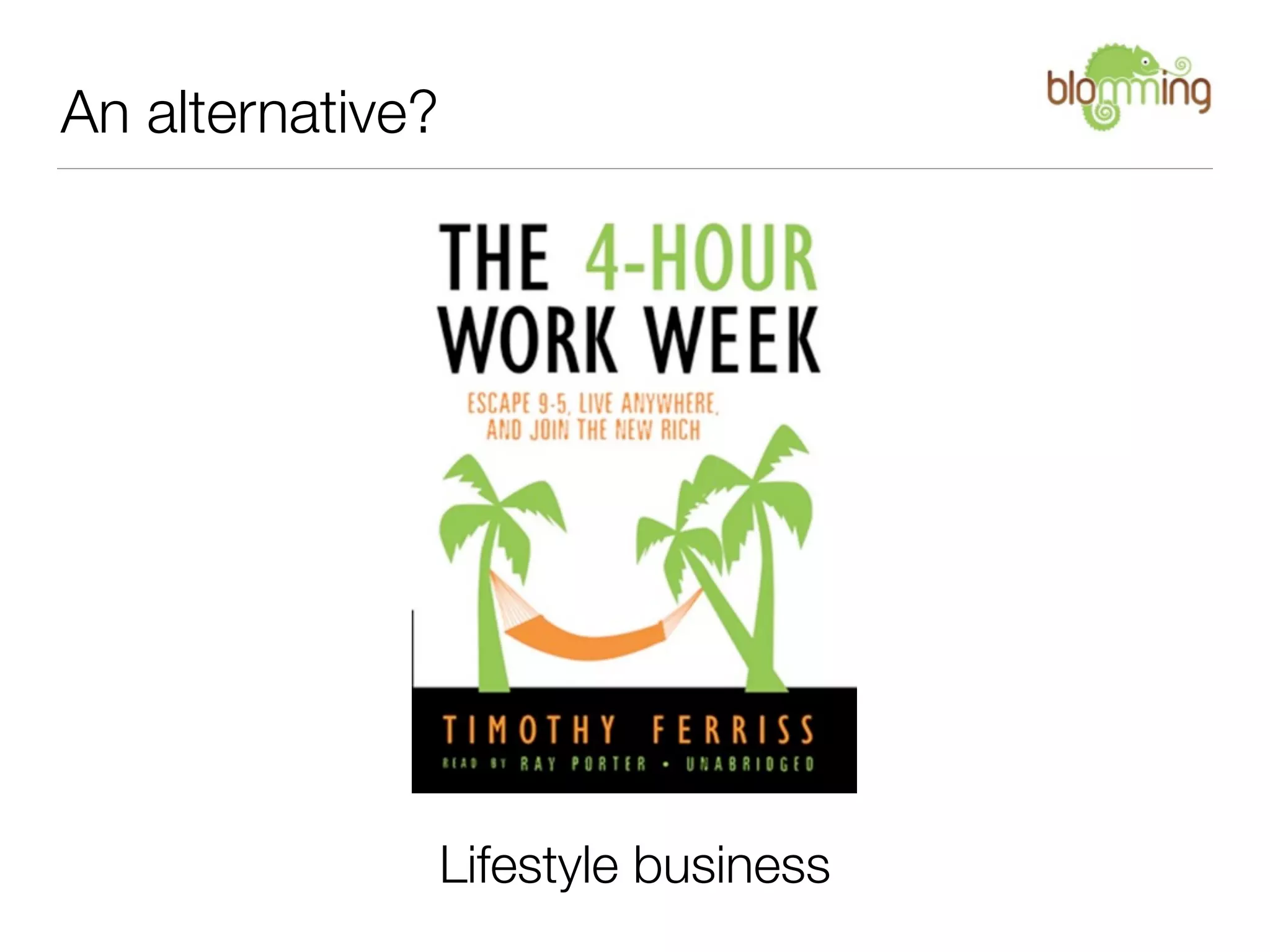 An alternative?




                  Lifestyle business
 