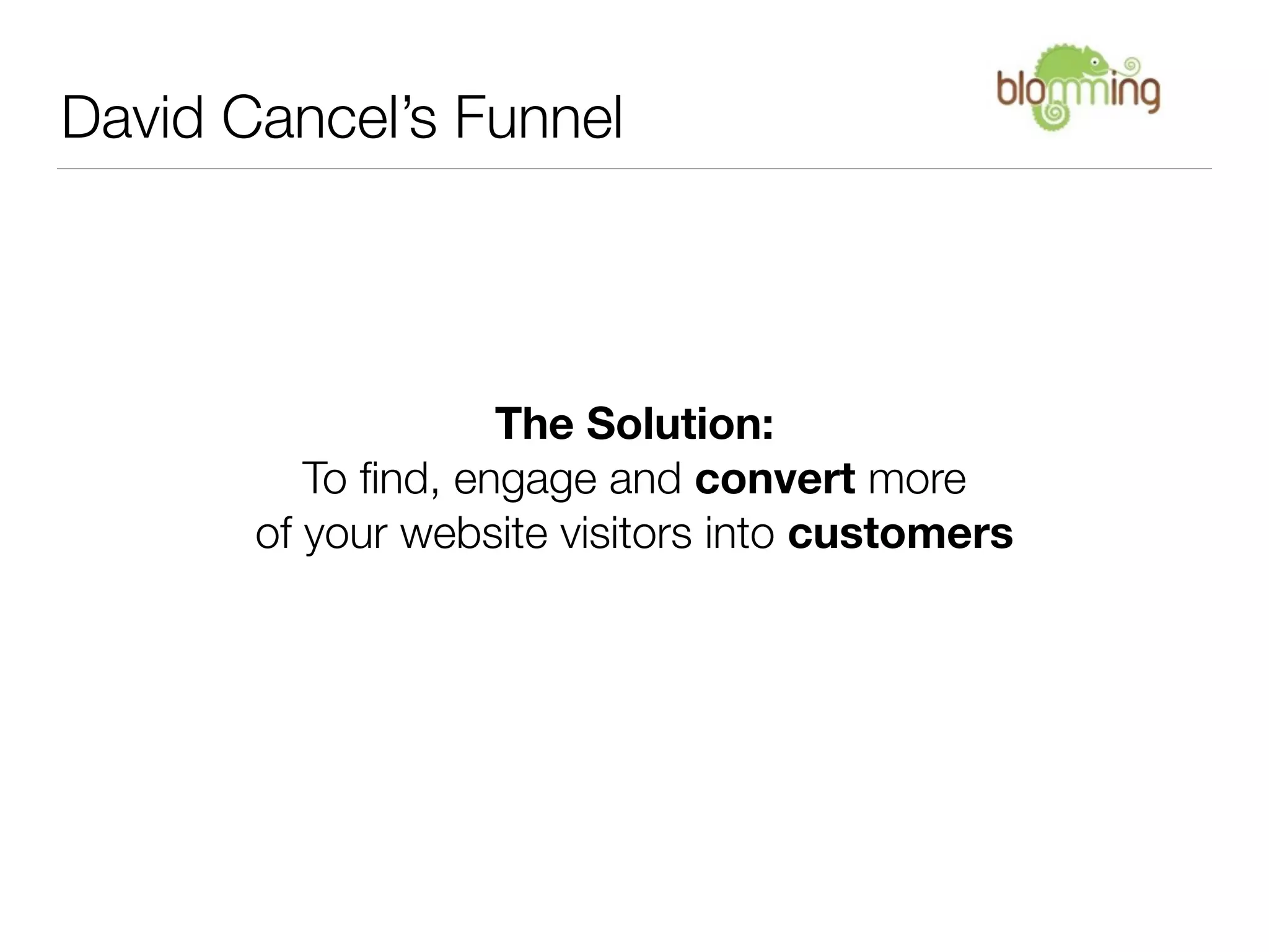 David Cancel’s Funnel




                    The Solution:
          To ﬁnd, engage and convert more
       of your website visitors into customers
 