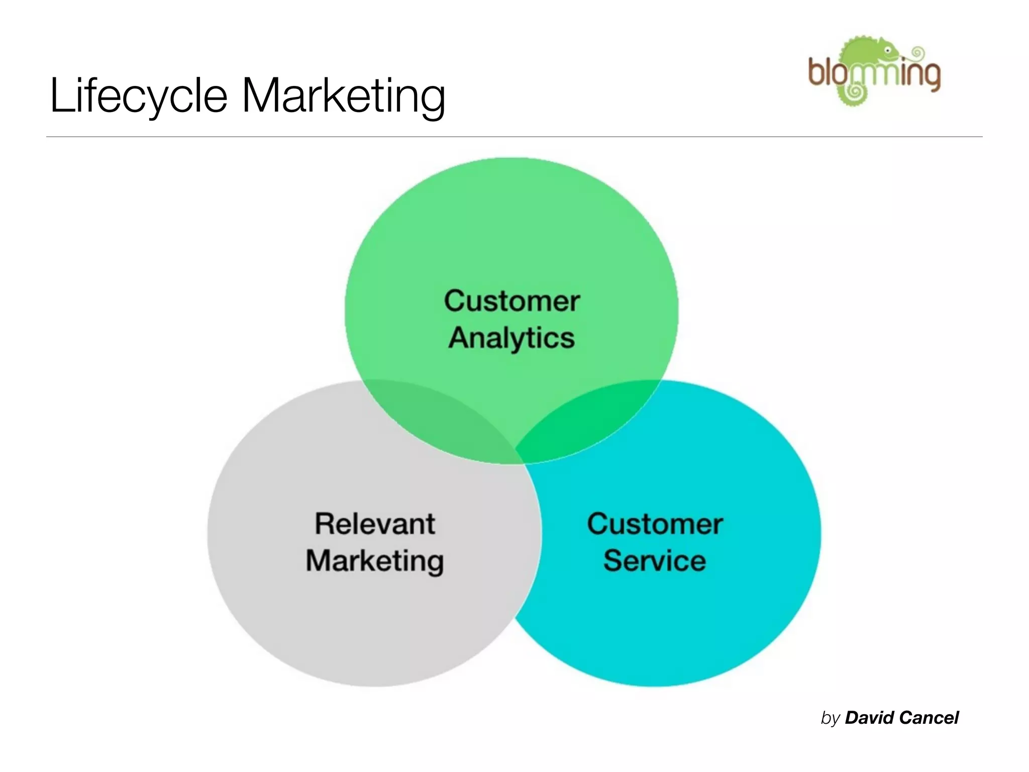 Lifecycle Marketing




                      by David Cancel
 