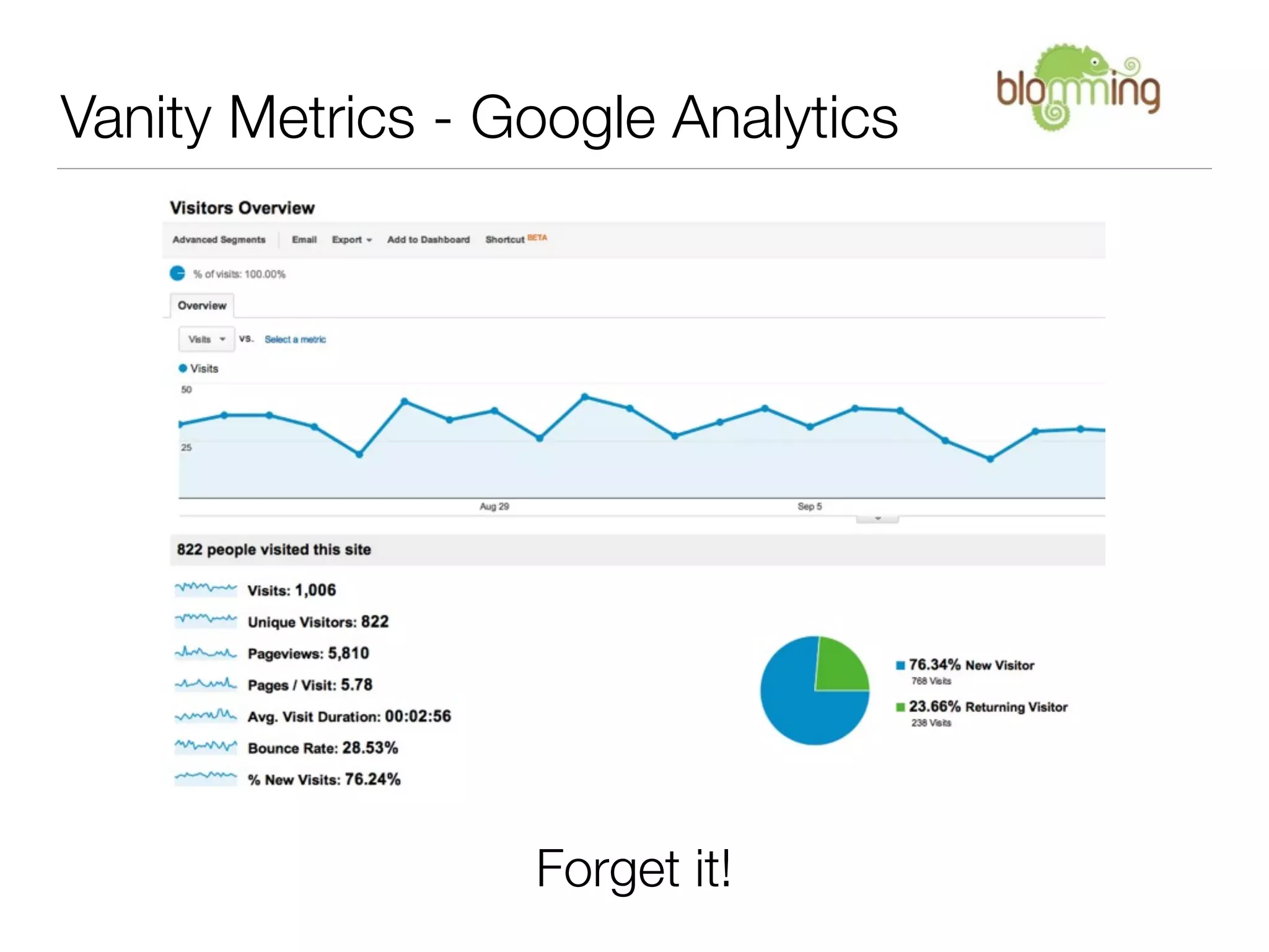 Vanity Metrics - Google Analytics




                  Forget it!
 