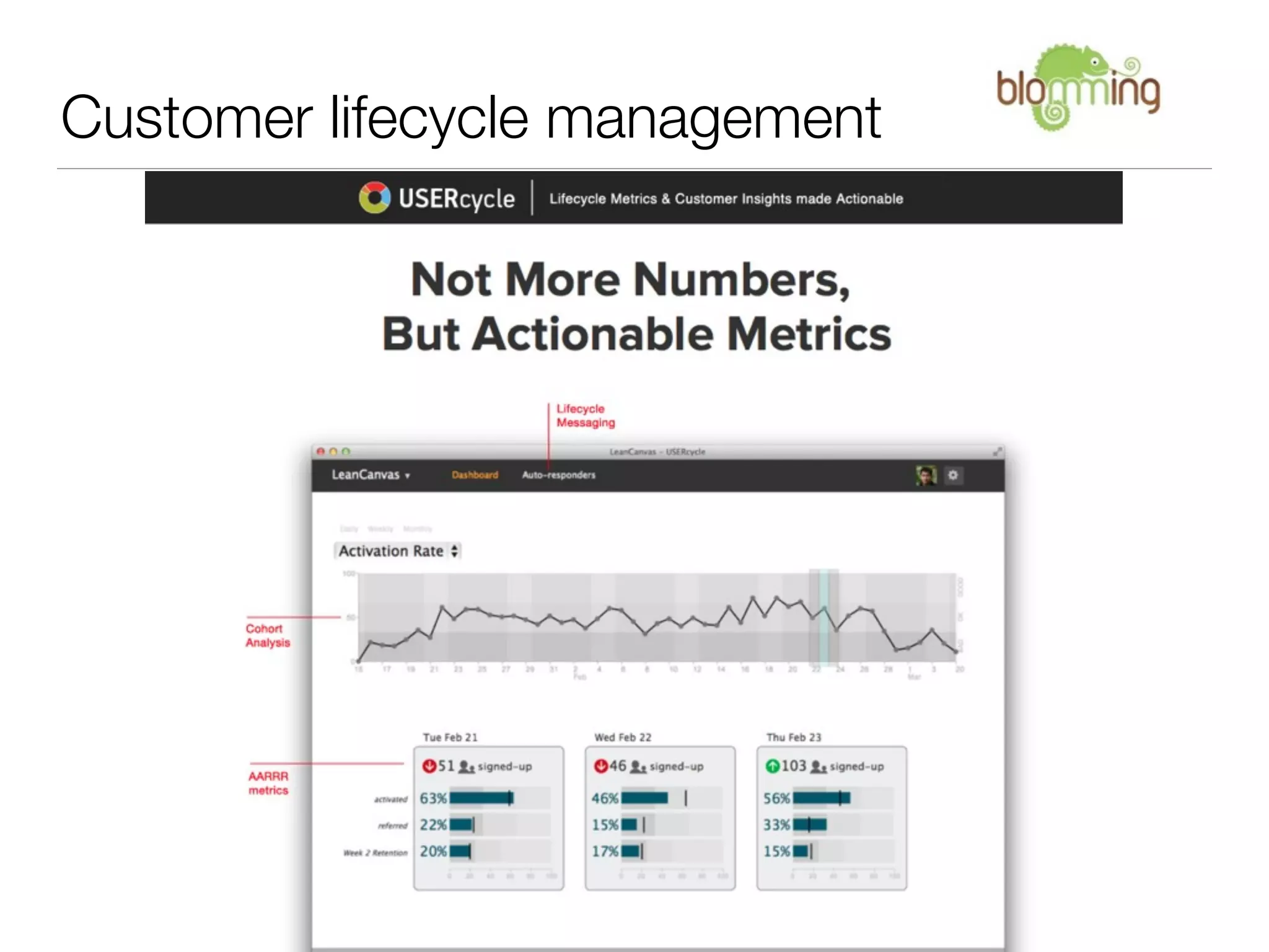 Customer lifecycle management
 
