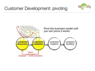 Customer Development: pivoting
 