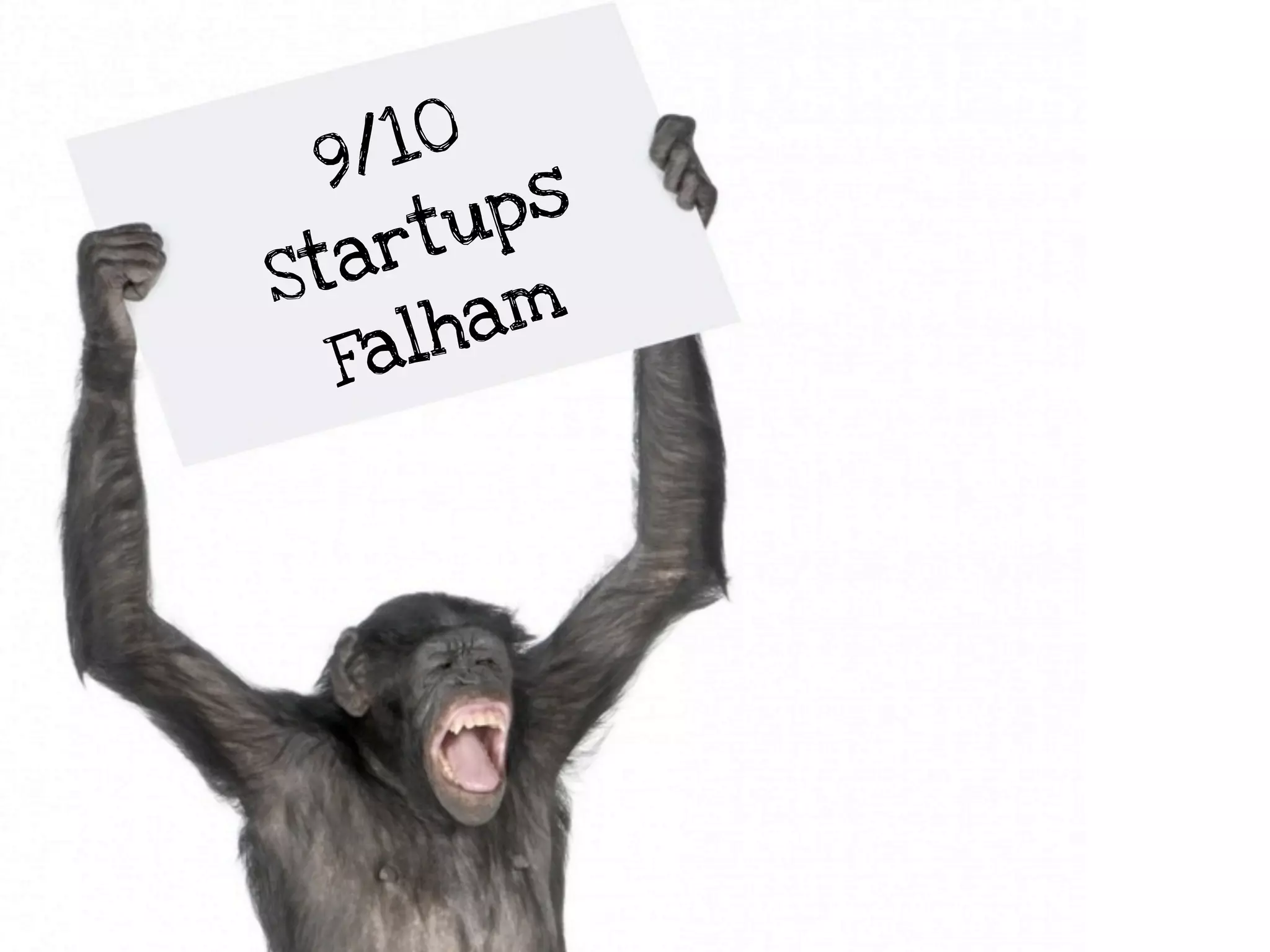 9 /10
         ps
 ta  rtu
S
        am
  F alh
 