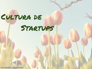 Cultura de
     Startups



http://www.flickr.com/photos/kiwanc/
 