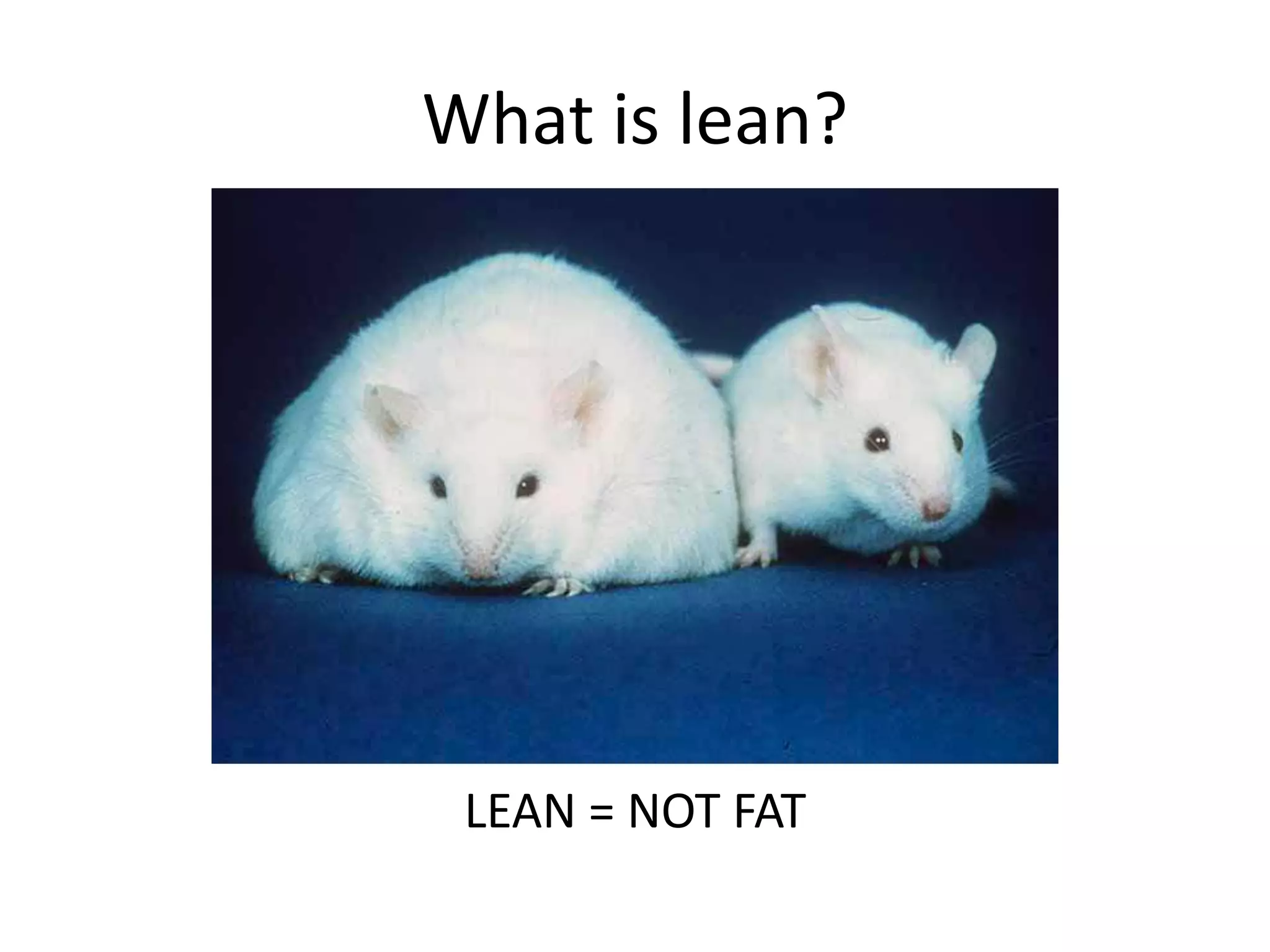 What is lean?




 LEAN = NOT FAT
 