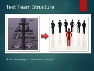 Test Team Structure
Flat team with poly skill team members is more agile.