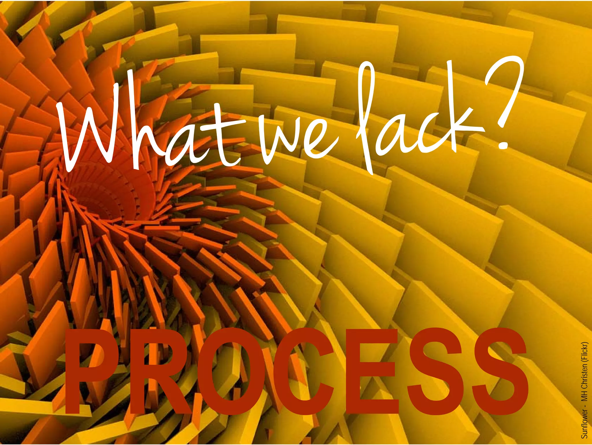 Sunflower - MH Christen (Flickr) 
 