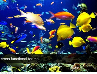 cross functional teams
 