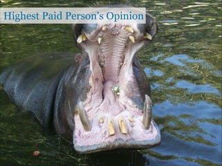 Highest Paid Person's Opinion

 