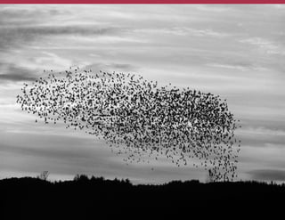 Each team member present their problem
statement. Dot vote on the 1 strongest
problem (or combine them).
Team must present a single problem
statement to the entire group
Synthesis – 10 minutes
 