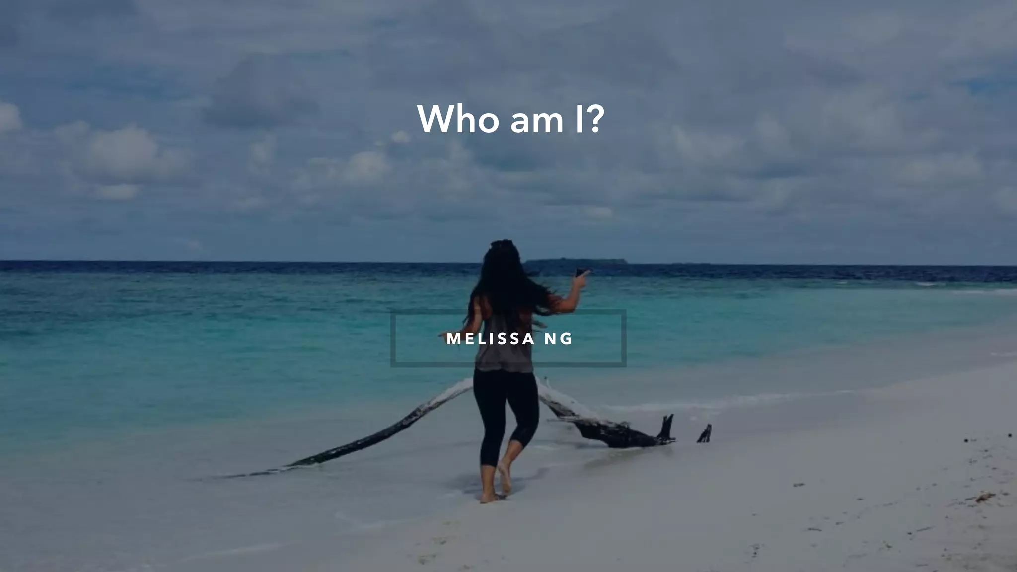 Who am I?
M E L I S S A N G
 