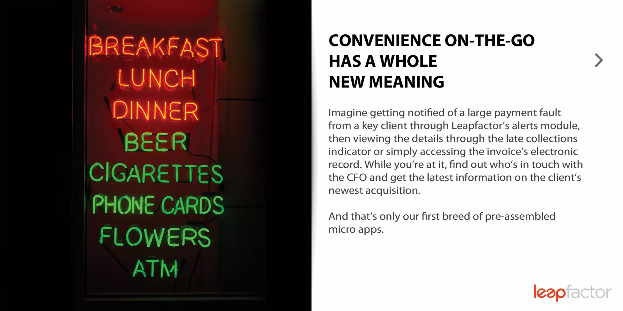 Leapfactor Postcards 2009