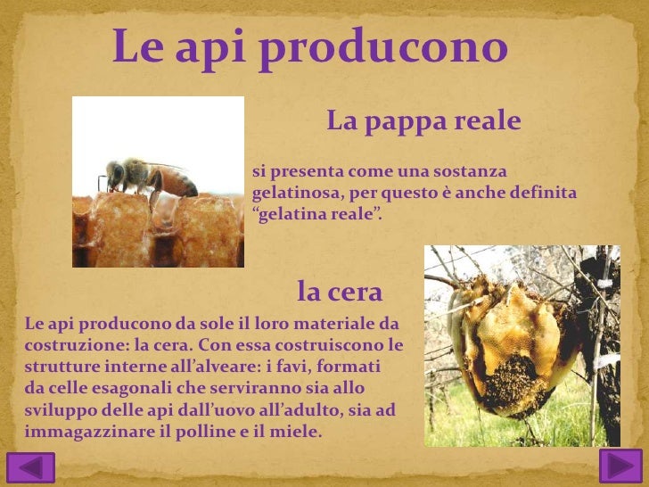 Le api