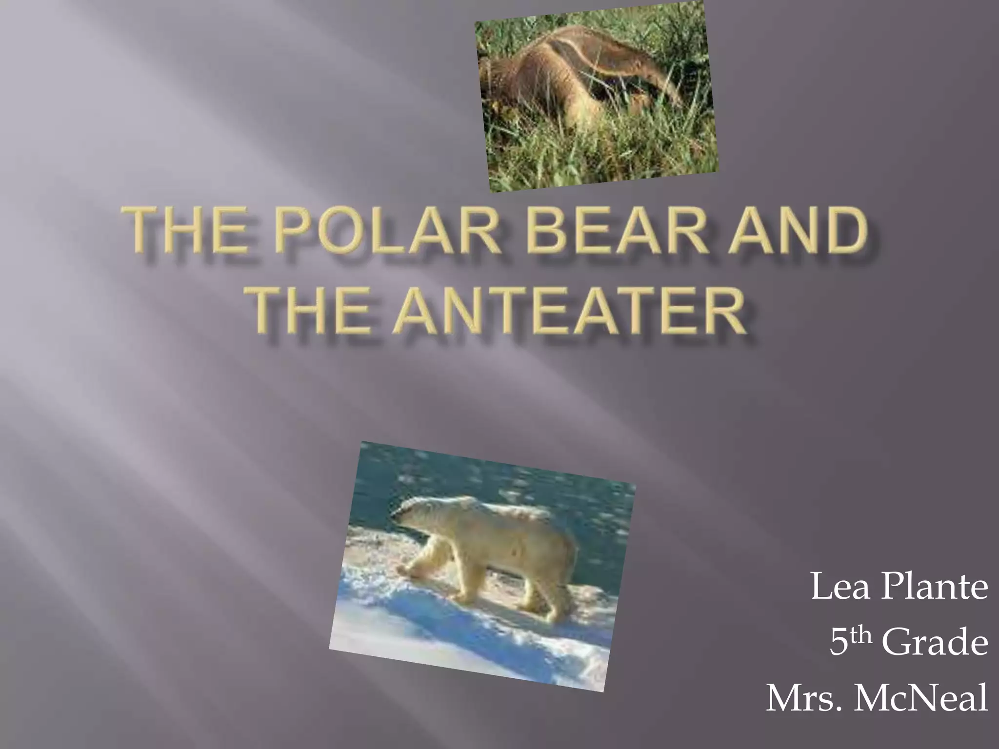 The Polar Bear and the AnteaterLea Plante 5th GradeMrs. McNeal