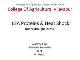 University Of Agricultural Sciences, Dharwad
College Of Agriculture, Vijayapur
LEA Proteins & Heat Shock
Under drought Stress
Submitted by:
Brahmesh Reddy B R
8073
B 1 batch
 