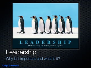 Leadership
  Why is it important and what is it?
Luigi Cormaci
 