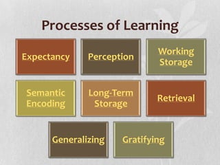 Processes of Learning
Expectancy

Perception

Working
Storage

Semantic
Encoding

Long-Term
Storage

Retrieval

Generalizing

Gratifying

 